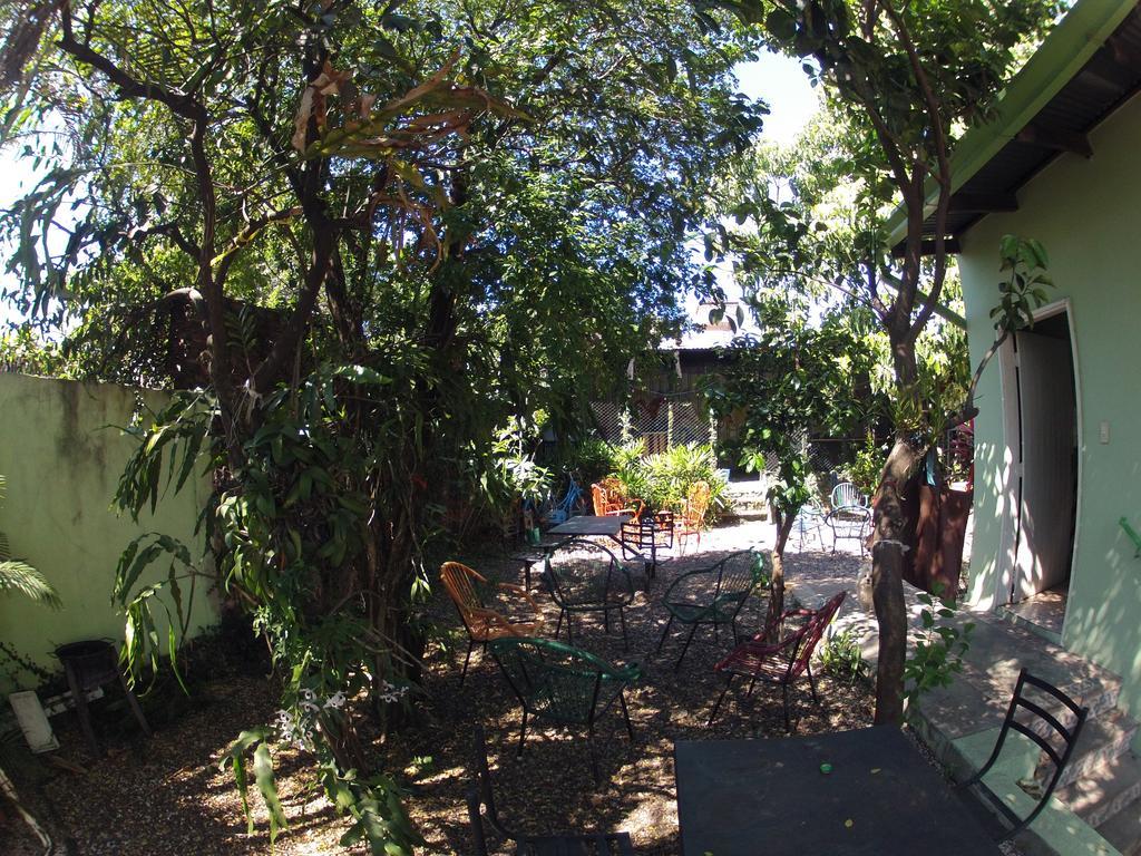 Hamaca Paraguaya Hostel Asuncion Exterior photo